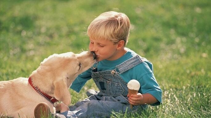 a boy picks up worms from a dog