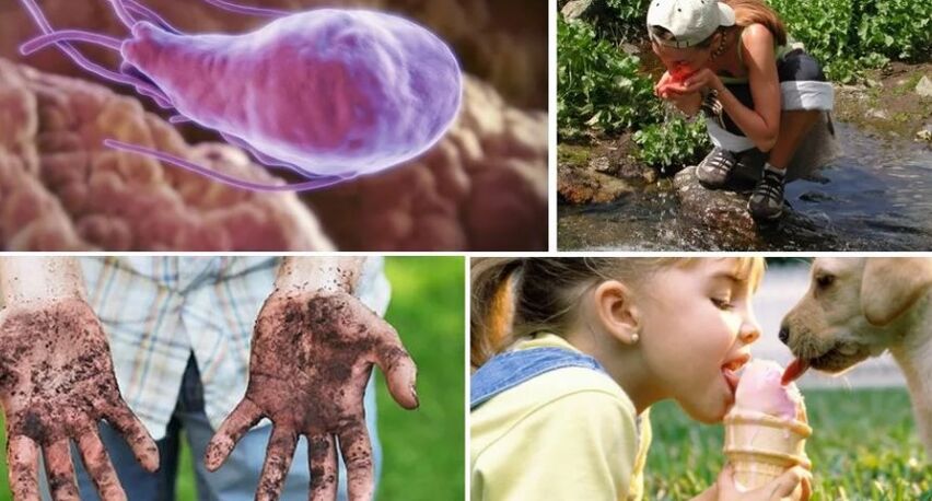 Infection sources