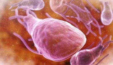 What are the parasites in a person's liver