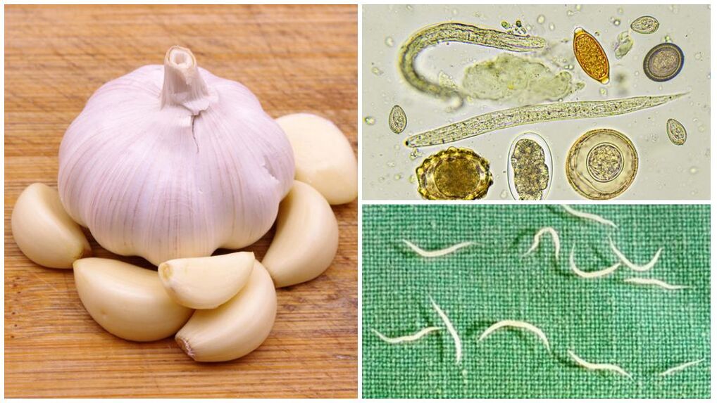 Garlic against pests